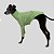 CACHARREL DE GALGO UV POPSTAR MENTA - Imagem 7