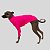 CACHARREL DE GALGO UV POPSTAR ROSA NEON - Imagem 1