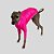 CACHARREL DE GALGO UV POPSTAR ROSA NEON - Imagem 5