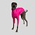 CACHARREL DE GALGO UV POPSTAR ROSA NEON - Imagem 6