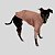 CACHARREL DE GALGO UV POPSTAR ROSE - Imagem 2