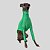 CACHARREL DE GALGO UV POPSTAR VERDE - Imagem 4