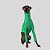CACHARREL DE GALGO UV POPSTAR VERDE - Imagem 6