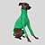 CACHARREL DE GALGO UV POPSTAR VERDE - Imagem 7