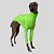 CACHARREL DE GALGO UV POPSTAR VERDE NEON - Imagem 6