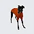 CAMISETA DE GALGO MALHA ALGODÃO CARAMELO - Imagem 2