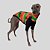 CAMISETA DE GALGO UV COQUEIRO - Imagem 3