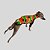 CAMISETA DE GALGO UV COQUEIRO - Imagem 6
