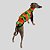 CAMISETA DE GALGO UV COQUEIRO - Imagem 7