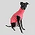 REGATA DE GALGO UV LARANJA NEON - Imagem 2