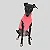 REGATA DE GALGO UV LARANJA NEON - Imagem 4