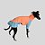 VESTIDO DE GALGO UV LARANJA E AZUL - Imagem 2