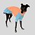 VESTIDO DE GALGO UV LARANJA E AZUL - Imagem 1