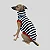 COLETE DE GALGO MOLETINHO LINE MARINE RED - Imagem 4