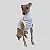 REGATA DE GALGO MOLETINHO LINE BLUE - Imagem 1