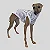 REGATA DE GALGO MOLETINHO LINE BLUE - Imagem 3