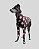 CACHARREL DE GALGO COTTON POA MARROM - Imagem 2