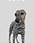 CAMISETA DE GALGO ALGODY LINE VERDE MUSGO - Imagem 3