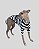 CAMISETA DE GALGO COTTON COOL PRETA - Imagem 1