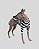 CAMISETA DE GALGO COTTON COOL PRETA - Imagem 2