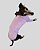 PIJAMA DE GALGO CACHARREL LUME LILAS URSO - sob encomenda - Imagem 6