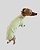PIJAMA DE GALGO CACHARREL LUME VERDE URSO - sob encomenda - Imagem 4