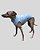 PIJAMA DE GALGO REGATA LUME AZUL STAR – sob encomenda - Imagem 5