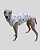 PIJAMA DE GALGO REGATA LUME BRANCO STAR – sob encomenda - Imagem 1