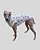 PIJAMA DE GALGO REGATA LUME BRANCO STAR – sob encomenda - Imagem 7