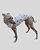 PIJAMA DE GALGO REGATA LUME BRANCO STAR – sob encomenda - Imagem 6