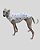 PIJAMA DE GALGO REGATA LUME BRANCO STAR – sob encomenda - Imagem 5