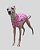 REGATA DE GALGO CAN POÁ PINK – sob encomenda - Imagem 1