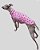REGATA DE GALGO CAN POÁ PINK – sob encomenda - Imagem 6