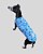 REGATA DE GALGO CAN STAR AZUL – sob encomenda - Imagem 2