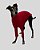 CACHARREL DE GALGO LUME FUCSIA - sob encomenda - Imagem 7