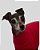 CACHARREL DE GALGO LUME FUCSIA - sob encomenda - Imagem 6