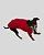 CACHARREL DE GALGO LUME FUCSIA - sob encomenda - Imagem 3