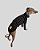 CACHARREL DE GALGO ALGODY PRETO LINE - Imagem 5