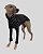 CACHARREL DE GALGO ALGODY PRETO LINE - Imagem 4