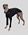 CACHARREL DE GALGO ALGODY PRETO LINE - Imagem 1
