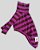 CACHARREL DE GALGO ALGODY COOL FUCSIA E ROXO - Imagem 1