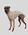 BLUSA DE GALGO CONFY FLOWER CHARMY- sob encomenda - Imagem 1