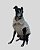 COLETE DE GALGO CHAMONIX CAN BEGE - sob encomenda - Imagem 11