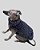 COLETE DE GALGO CHAMONIX CAN CHUMBO - sob encomenda - Imagem 11
