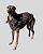 COLETE DE GALGO CHAMONIX CAN CHUMBO - sob encomenda - Imagem 10