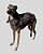 COLETE DE GALGO CHAMONIX CAN CHUMBO - sob encomenda - Imagem 9