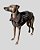 COLETE DE GALGO CHAMONIX CAN CHUMBO - sob encomenda - Imagem 2