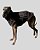 COLETE DE GALGO CHAMONIX CAN CHUMBO - sob encomenda - Imagem 8