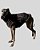 COLETE DE GALGO CHAMONIX CAN CHUMBO - sob encomenda - Imagem 1