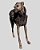 COLETE DE GALGO CHAMONIX CAN CHUMBO - sob encomenda - Imagem 7